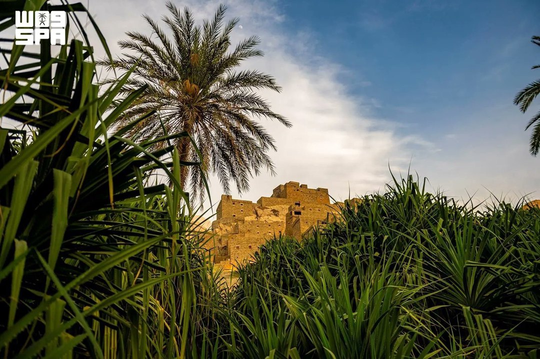 صورة ٢