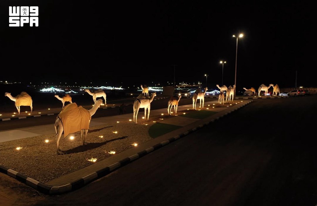 صورة ٢
