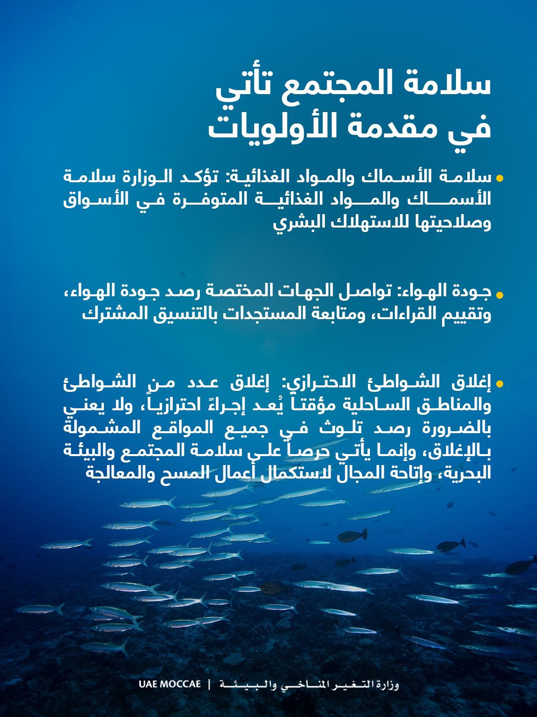 صورة ٤
