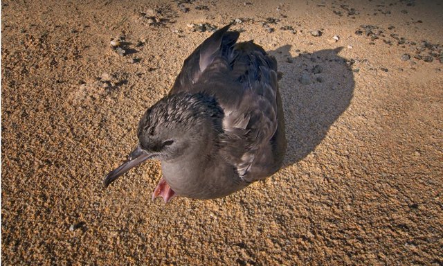 صورة ٢