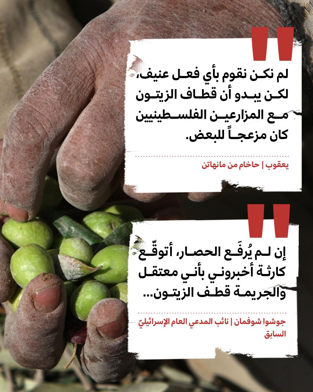 صورة ٣