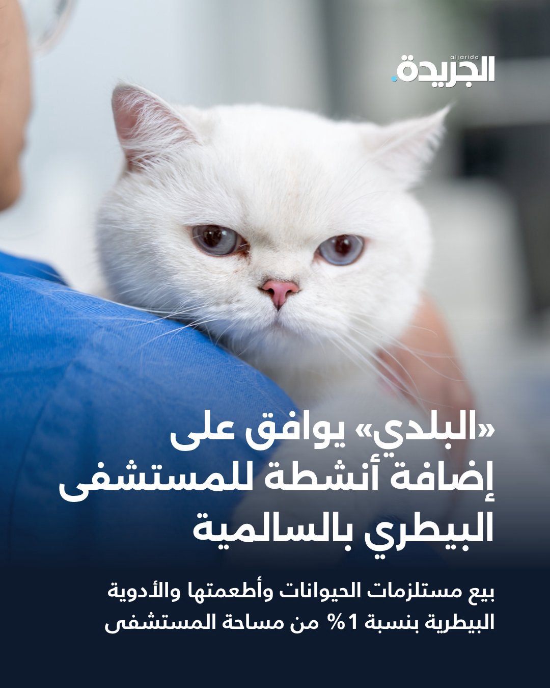 صورة ٢