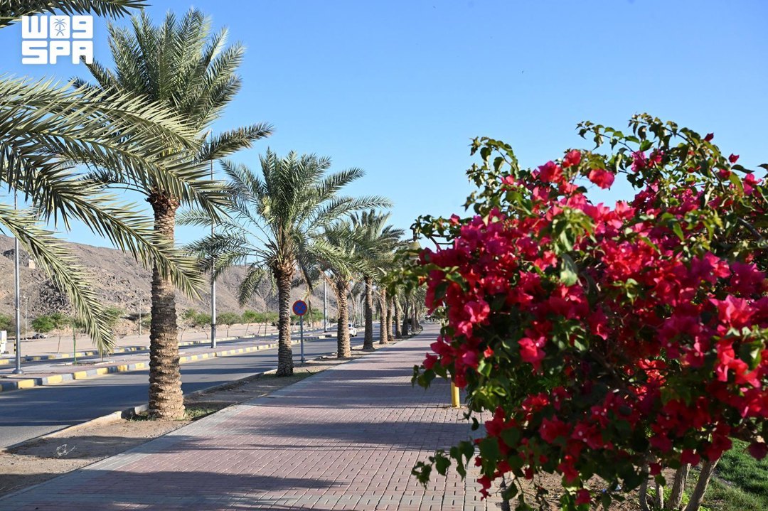 صورة ٧