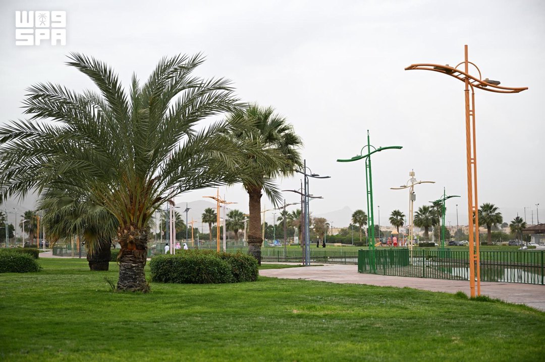 صورة ١٠