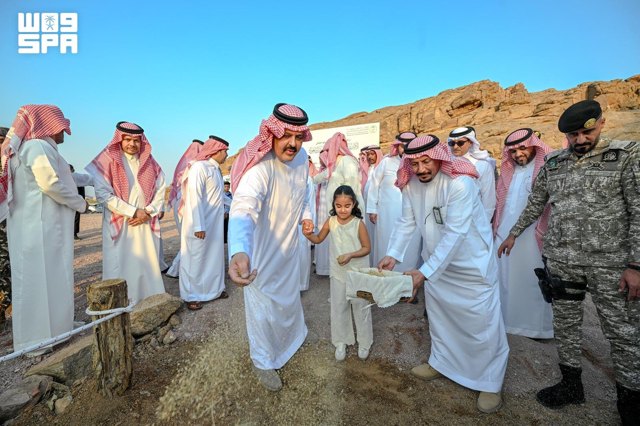 صورة ١٢