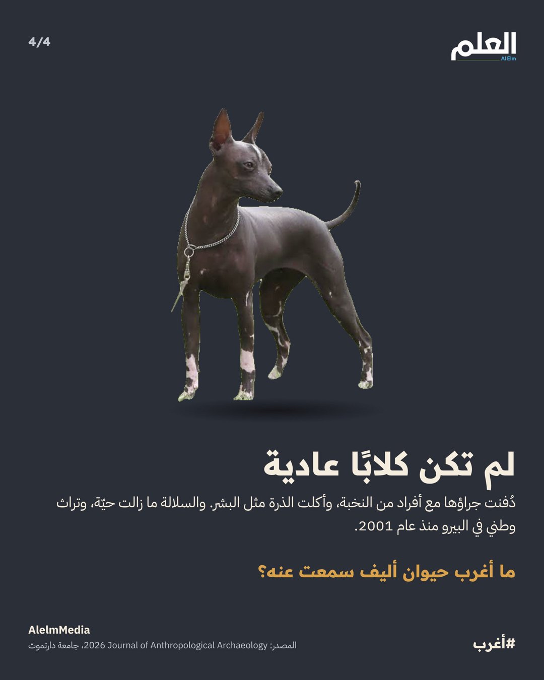 صورة ٣