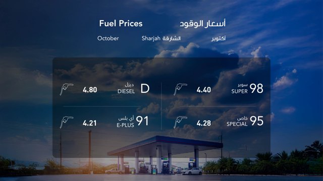 صورة ١١