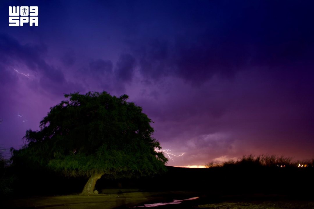 صورة ٢
