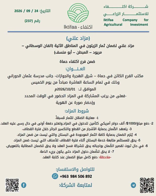 صورة ٣