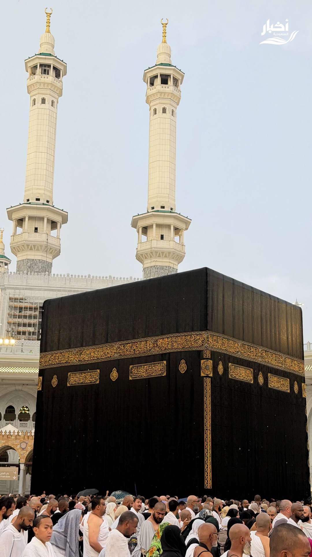 صورة ٢