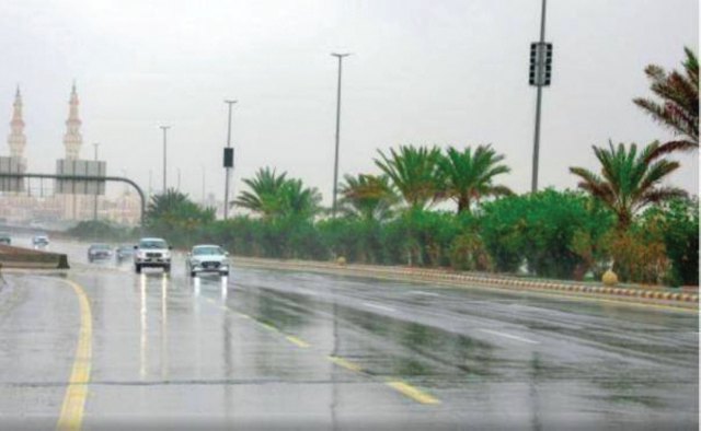 صورة ٣