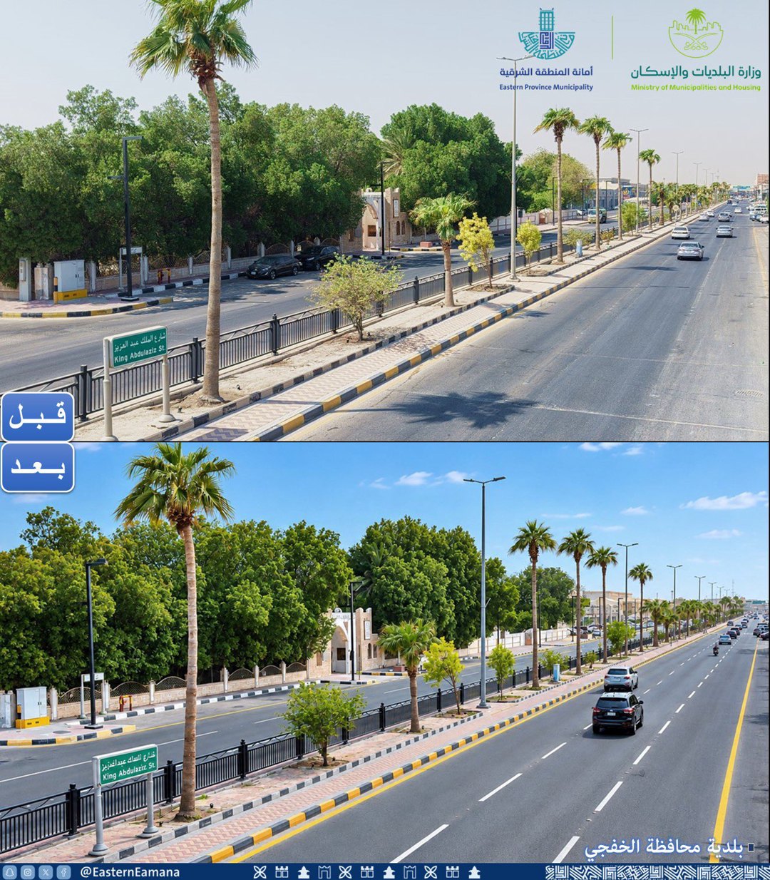 صورة ٢