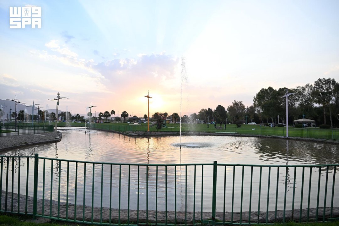 صورة ١٢