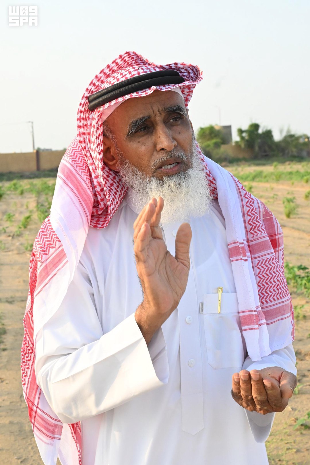 صورة ١٠
