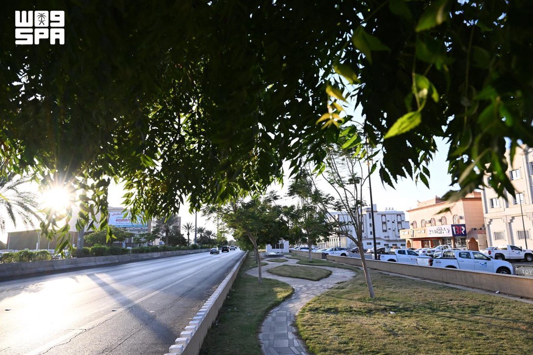 صورة ٨