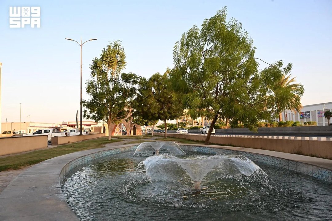 صورة ٢