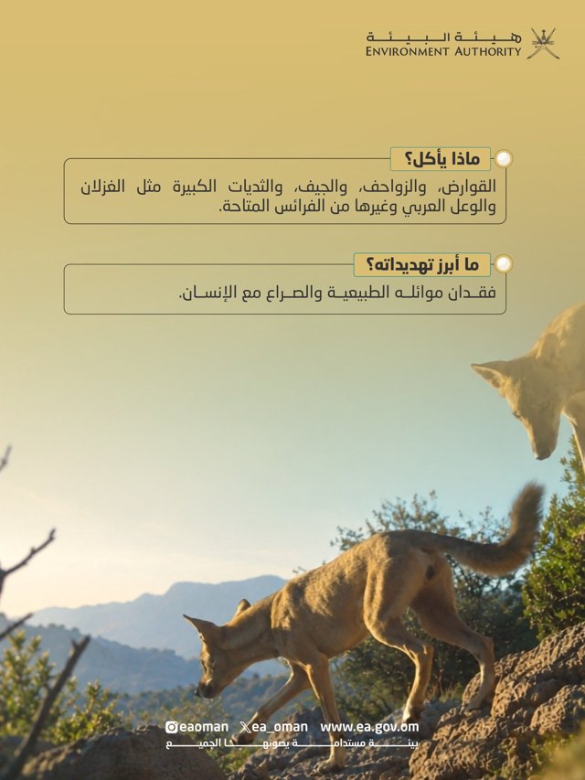 صورة ٢