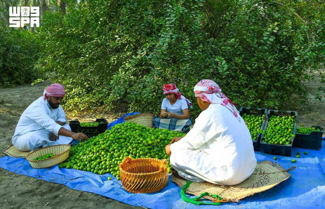 صورة ٢