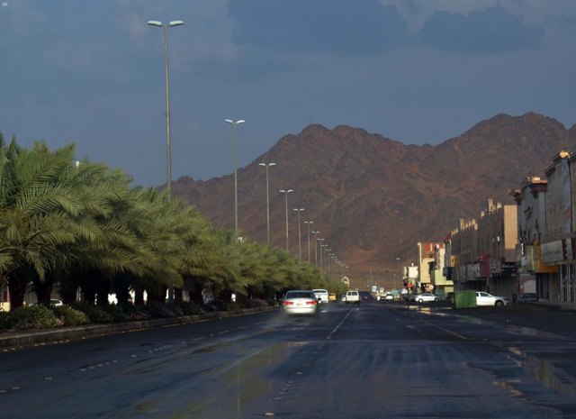 صورة ٤