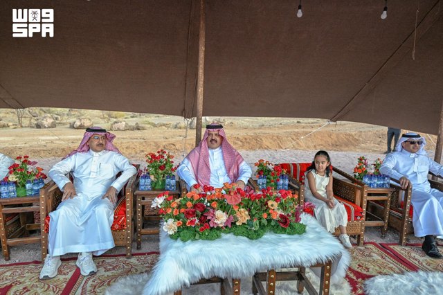 صورة ٢